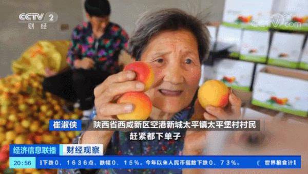 奶奶|火了，乘风破浪的奶奶！80岁直播带货，一天卖出1万元！