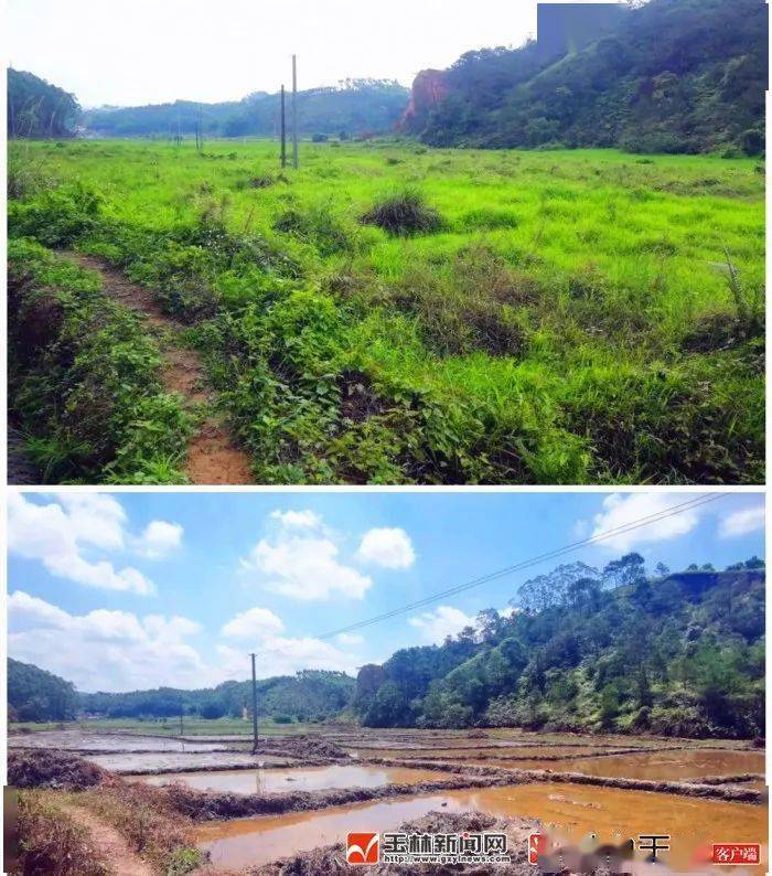 广西陆川县温泉镇有多少人口