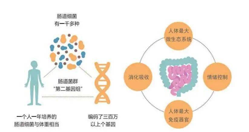 人体微生态检测新技术首次落地宁波即刻参与体验报名