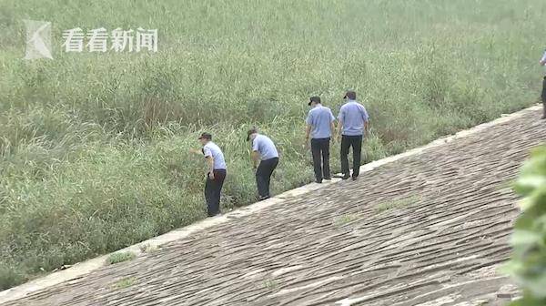 长江边洗脚落水 被救上岸后还想去水里“洗澡”