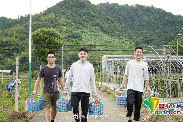 直播|10分钟销量破千元！从采摘到直播，大学生助力农民增收