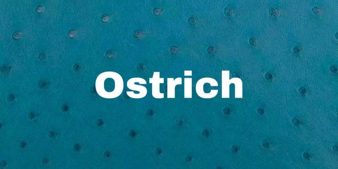 dream|一分钟带你看完人人都想要的“dream bag” — HERMES Kelly