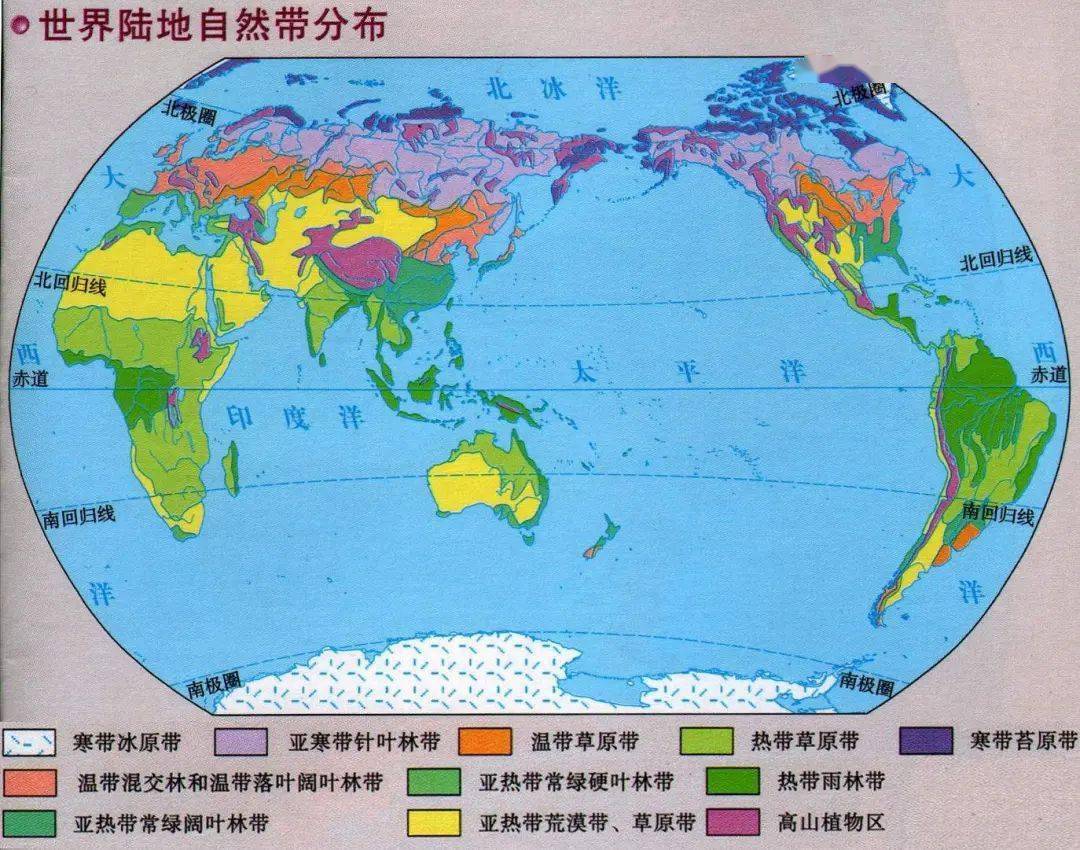 世界植被带分布图