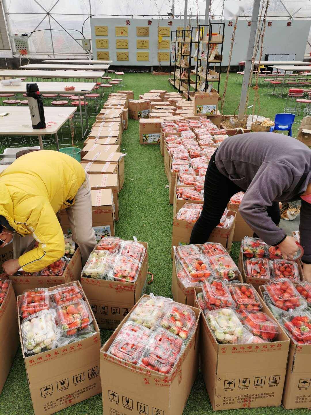 岱岳区|电商经济成为岱岳区经济发展新“引擎”