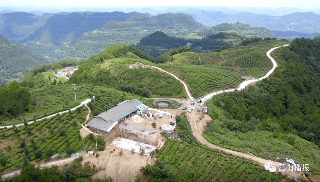 体验采摘,吃农家饭,营山又一网红打卡地!(附视频)