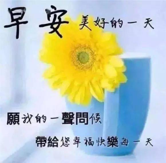 8月特别好看的早上好问候祝福图片 2020最新早上好问候表情祝福图片