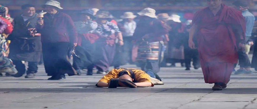 跑男来了第四季2020免费完整版 595285e72291438a874c62b3aaa5fba0.jpeg