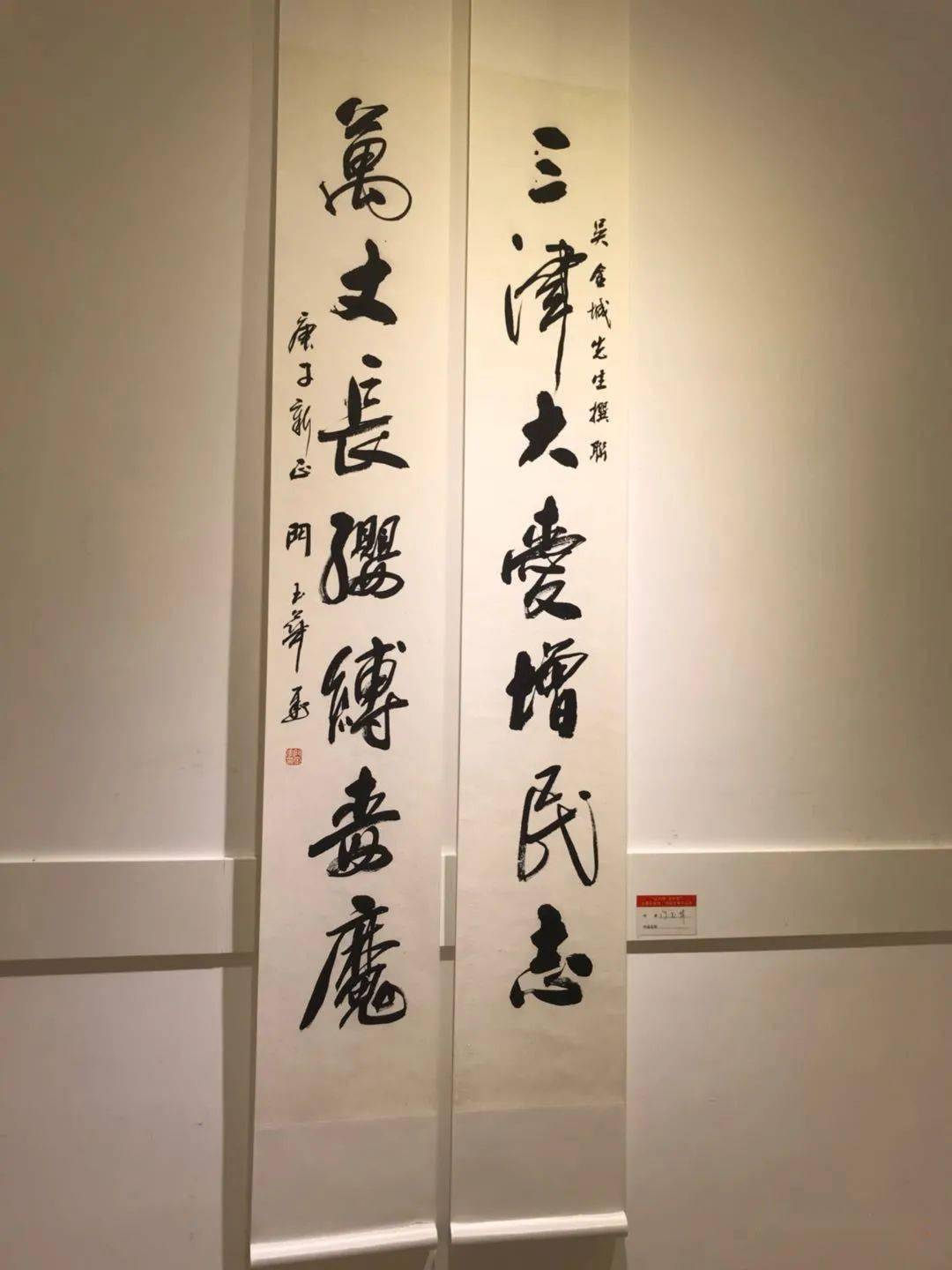 疫无情艺有情武清区美术书法优秀作品展在武清区美术馆开幕