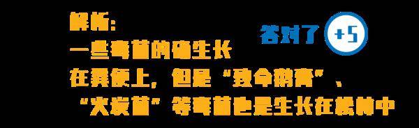 杨维涵|云南人吃菌等级考试