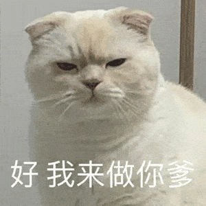 cf8a45ed377e42c0b740ecca9662c502.gif