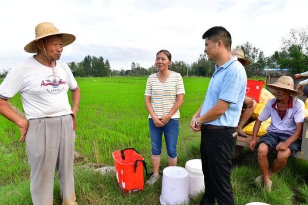农业|巢湖：灾后农业恢复生产“水退一块、种一块”
