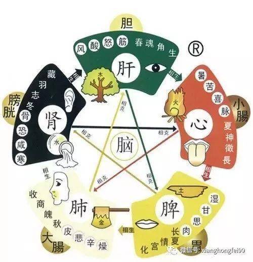 毒素在堆积在五脏的表现