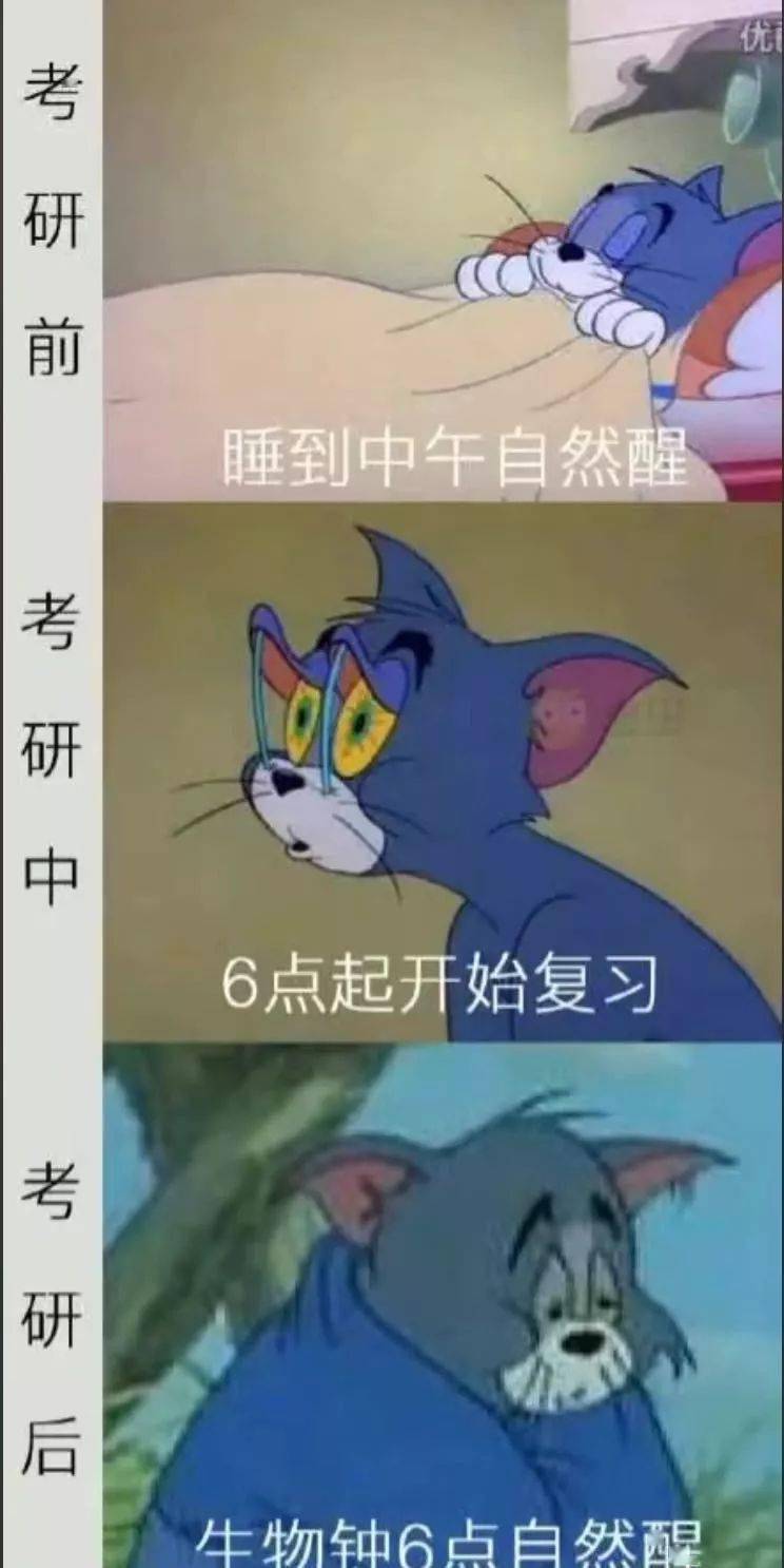 这些考研人的专属表情包让我也笑成表情包