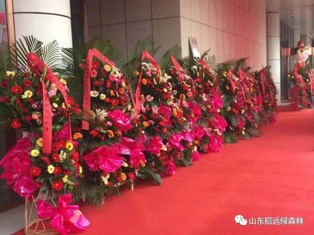 开业用花卉 33823065ff6847a5b145c4a0ace58377.jpeg
