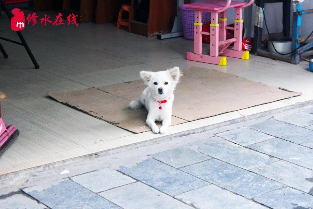 修水城北人口_修水城北派出所