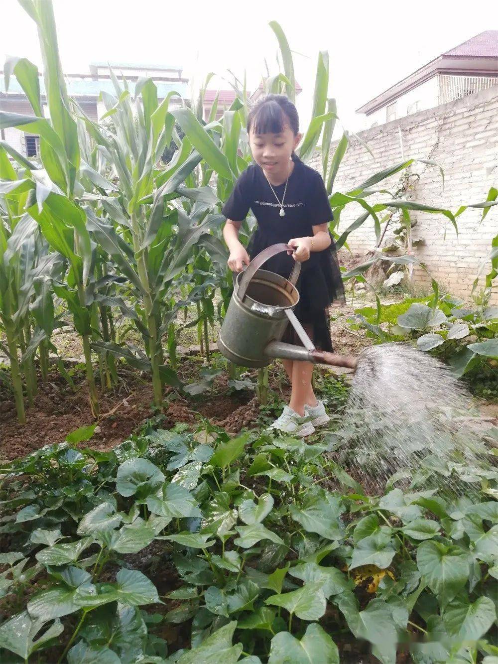 阳光校园活力一小阳光女孩曾嘉文