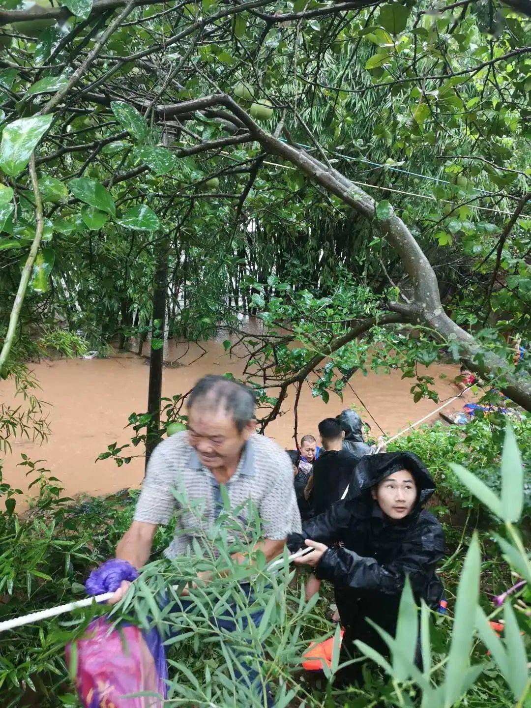 绵阳永兴镇多少人口_绵阳永兴镇规划地铁图(2)