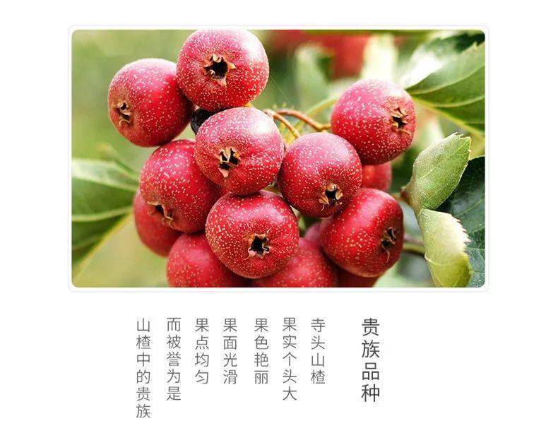 老少|零添加，酸甜适口，全家老少都爱吃的美味零食！天然山楂怡块