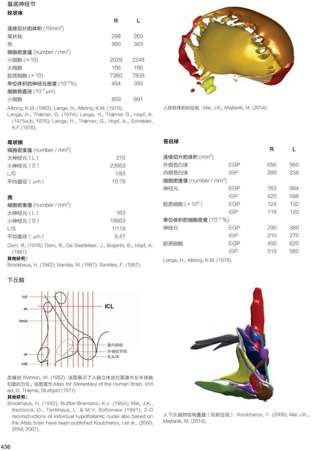 人头上简谱_人头上虫子密集恐惧症(3)