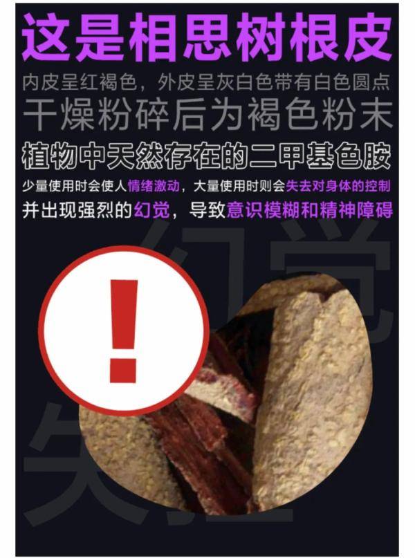 片剂|贵州一男子为寻找灵感，竟网购毒蘑菇！快扩散，这些都是新型毒品……