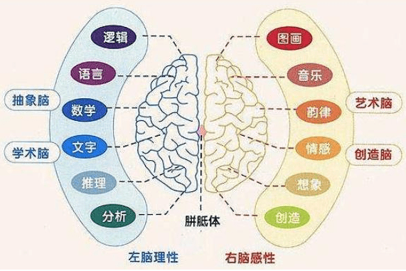 0-6岁是孩子大脑发育黄金期，越早开发越聪明！这样做，给孩子一个“超强大脑”