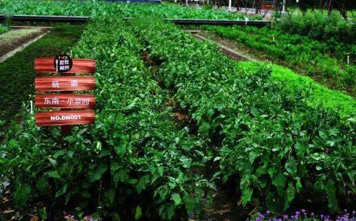 苏州2020二月gdp_苏州园林