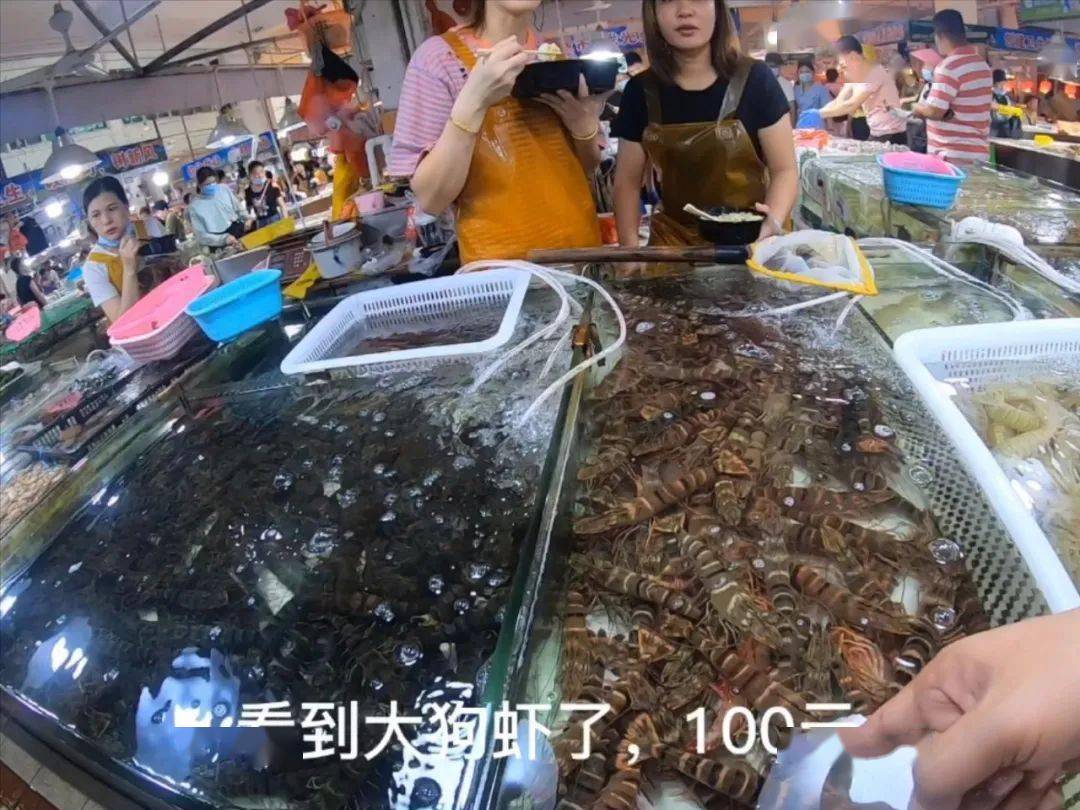 开渔节前逛农贸市场,闸坡海鲜到底贵不贵?_阳江