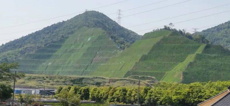 加快推进废弃矿山生态治理工程,从全域角度布局,高标准制定"复绿"方案