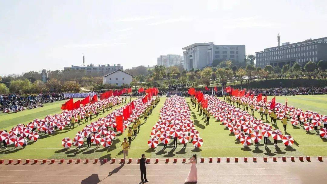 孔雀|又上热搜了！工商学院网红体质石锤！