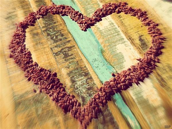 生活|人生是一场跋涉，尽管颠簸，但脚步依然。早安