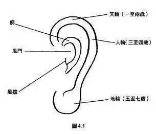 发大财的"黄金耳相" 是怎样?