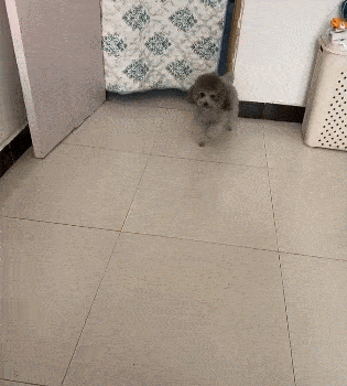 dcea5cb83df04858b92b79b61cf3293d.gif