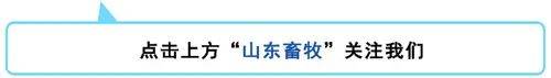 价格|7月份国内生猪存栏首次实现同比增长