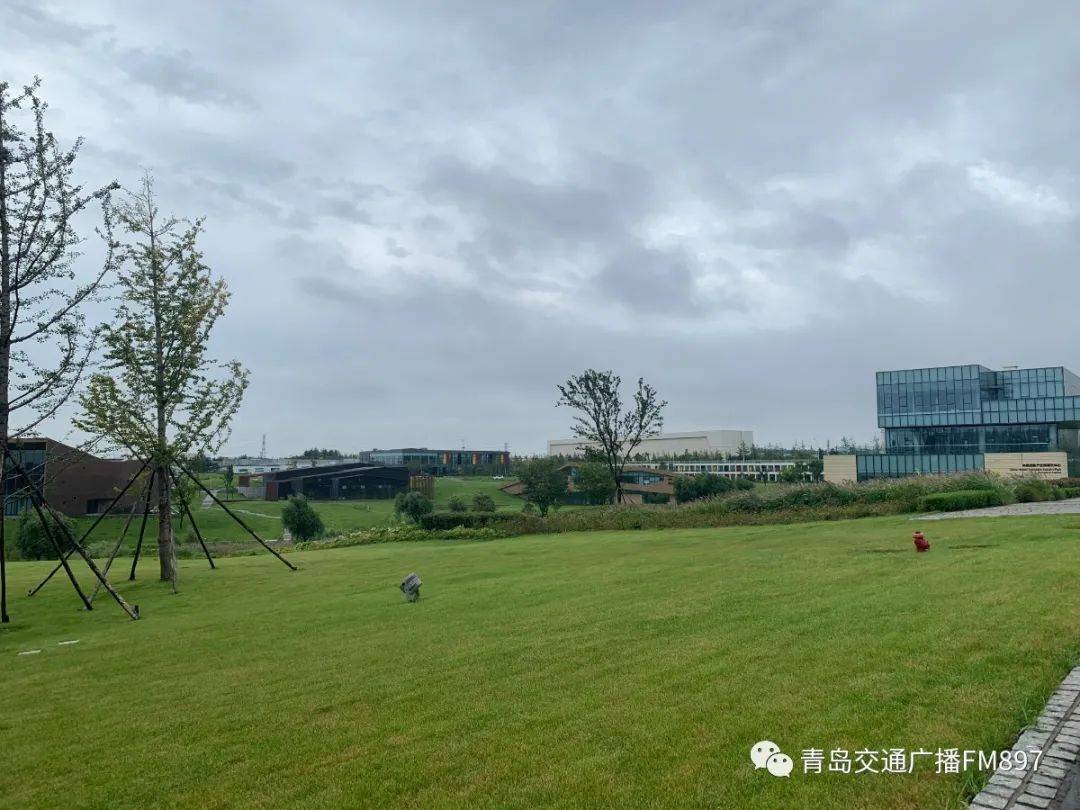 特训|赢在大学前！897主播为准大学生们传授独门绝技，名额仅剩...