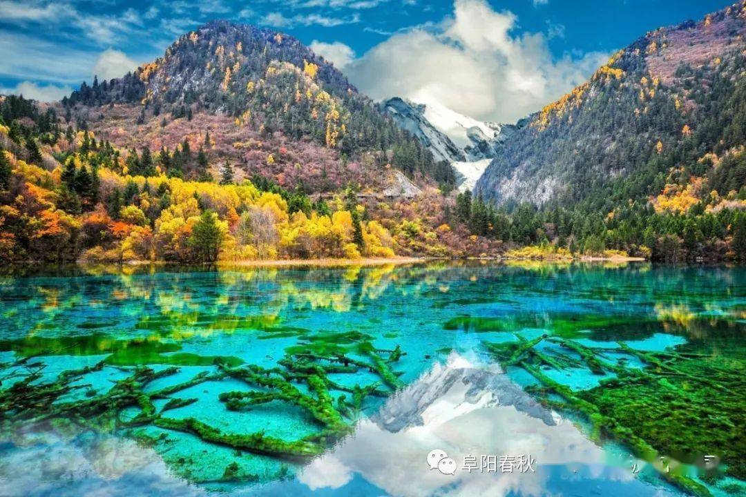 中国除了最美十大山景,还有最美的十大水景,包括溪瀑泉海湖