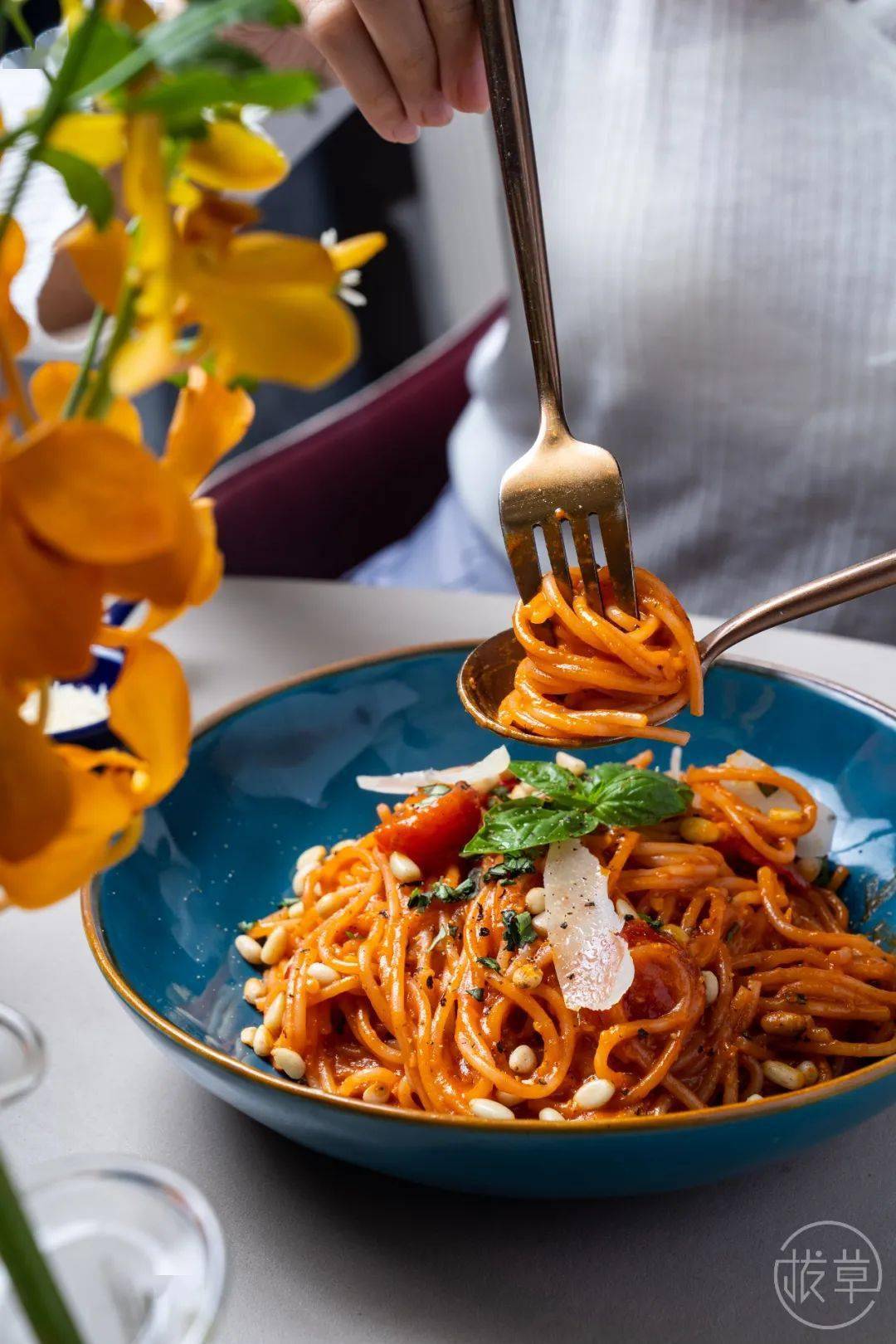 植物园|魔都也有了!帝都刷屏的“植物园餐厅”