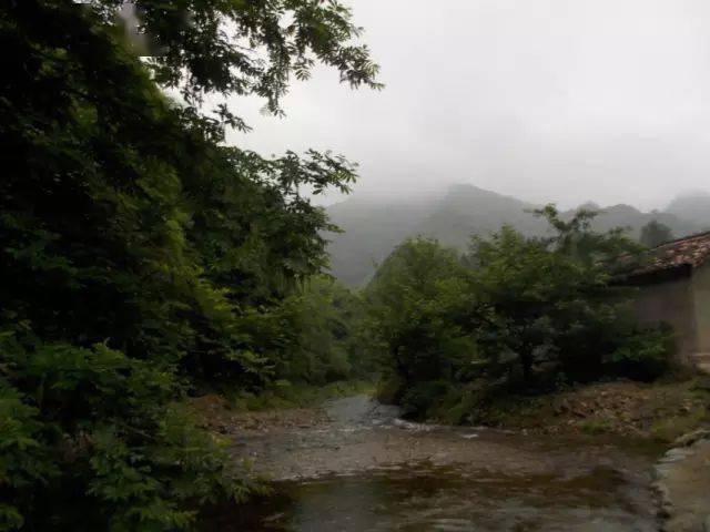 溪流钓鱼视频全集 2b29a2be1b884800830115eb7c3e5dd8.jpeg