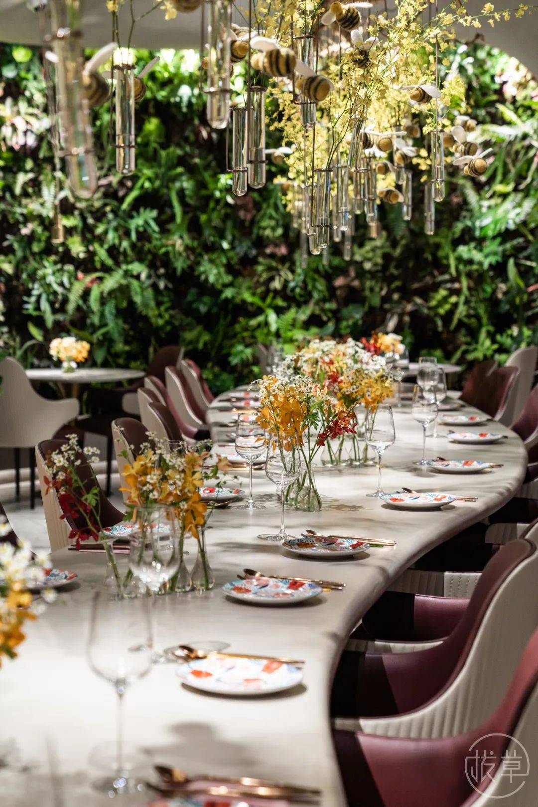 植物园|魔都也有了！帝都刷屏的“植物园餐厅”