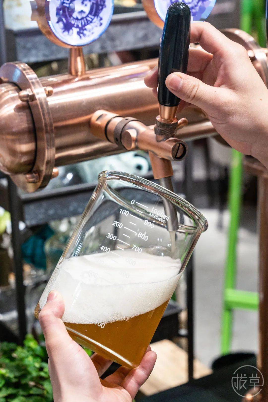 植物园|魔都也有了！帝都刷屏的“植物园餐厅”