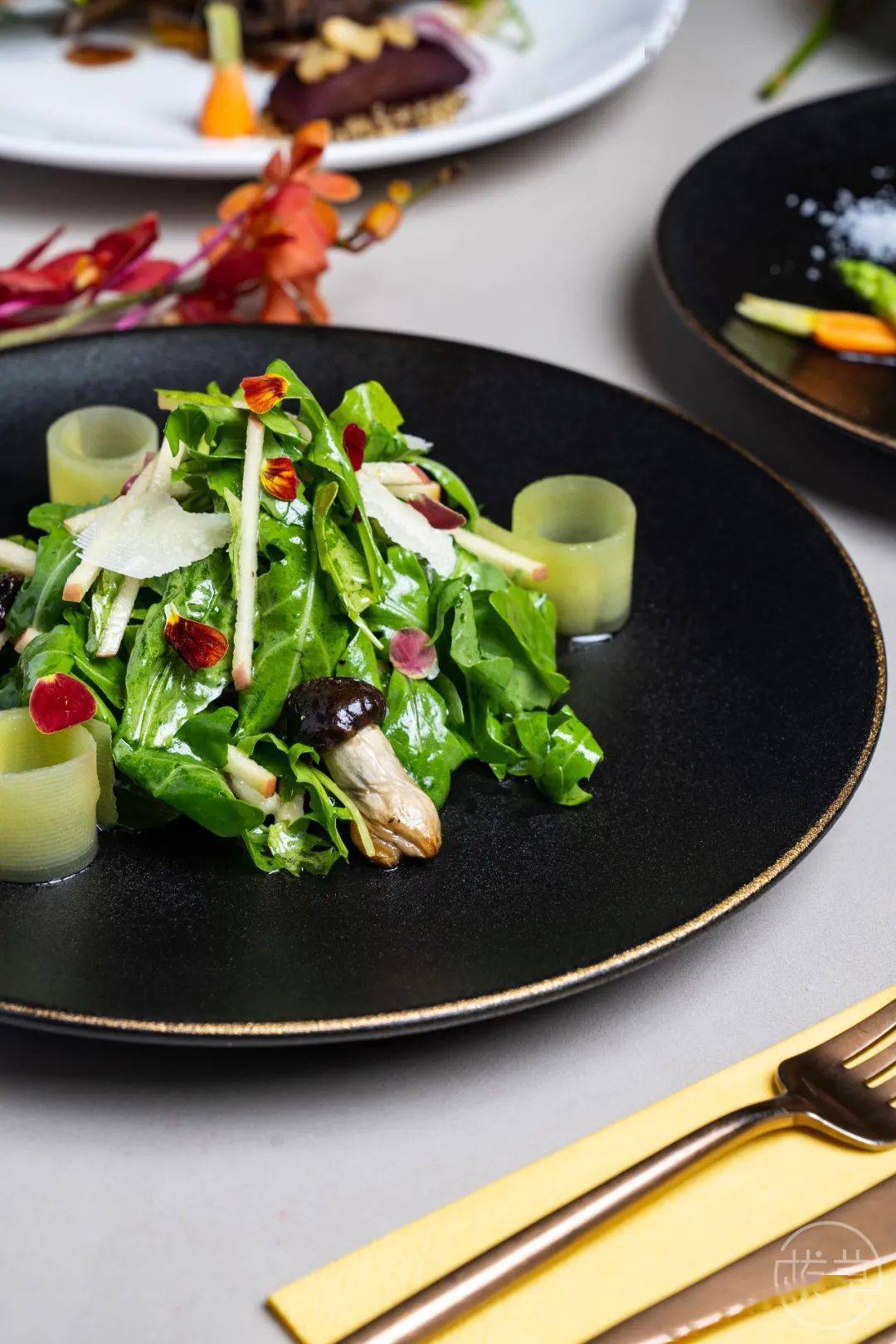 植物园|魔都也有了!帝都刷屏的“植物园餐厅”