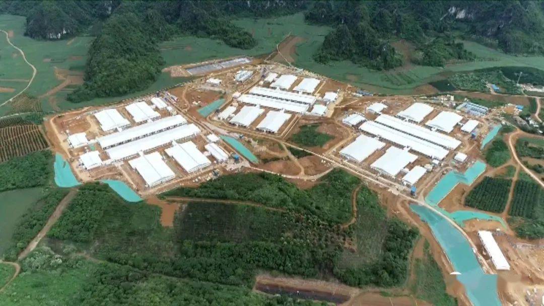 宁明华侨农场积极发展养殖场项目托起致富梦