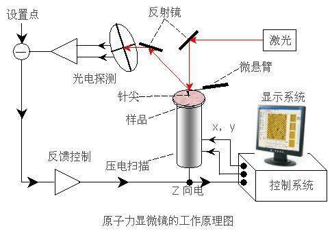 原子力显微镜原理及应用
