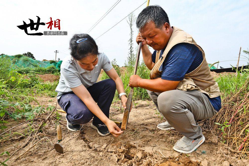 赵占锐|古墓丽影：陕西考古女研究员7年参与发掘400多座古墓葬