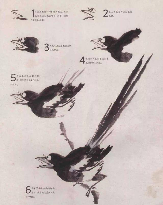 蜡嘴雀