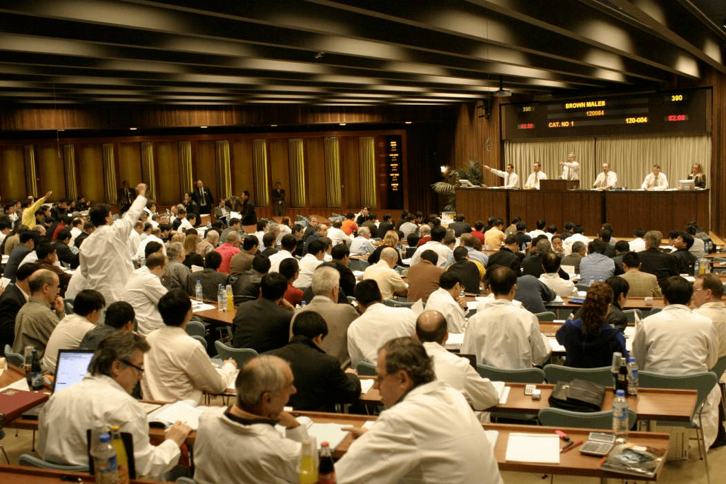 黄金|奢侈品之皮草调查丨昔日“软黄金”，如今价如“草”！