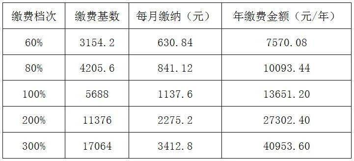 缴费人口_医院缴费单图片(2)