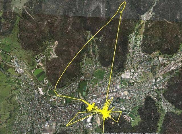 老人被狗绳绊倒身亡,也许养狗需要用科技来改造下