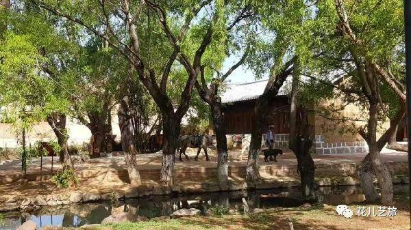 摄影|四川美术学院新媒体专业春季考察