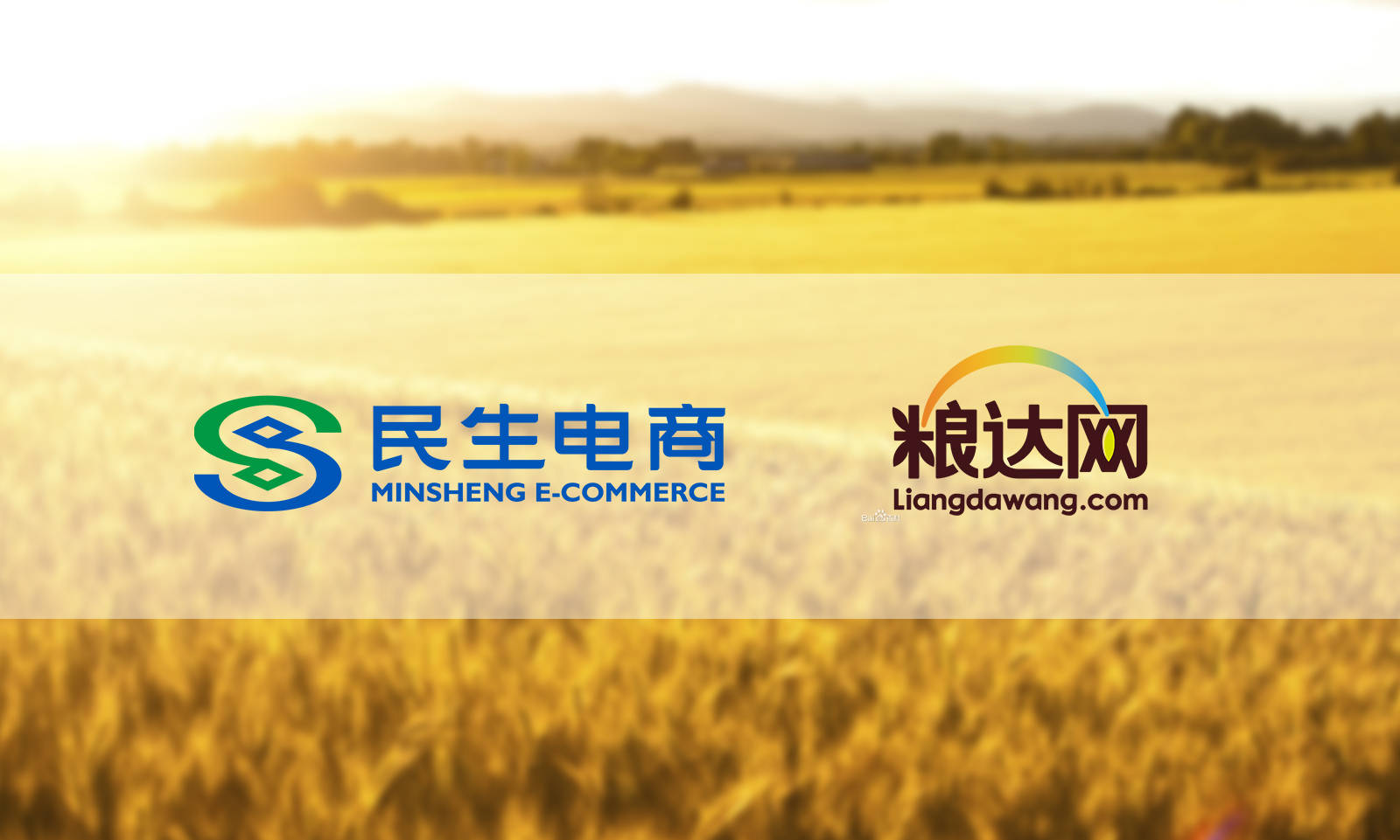 数字化|民生电商与粮达网达成战略合作，共促粮食产业供应链数字化升级
