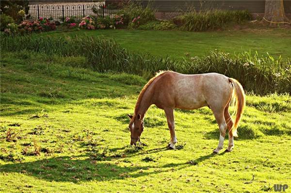 走过|走过的路，看过的风景，都是你的人生